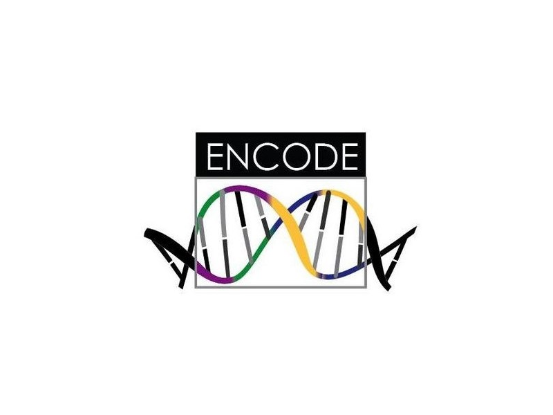 ENCODE Project